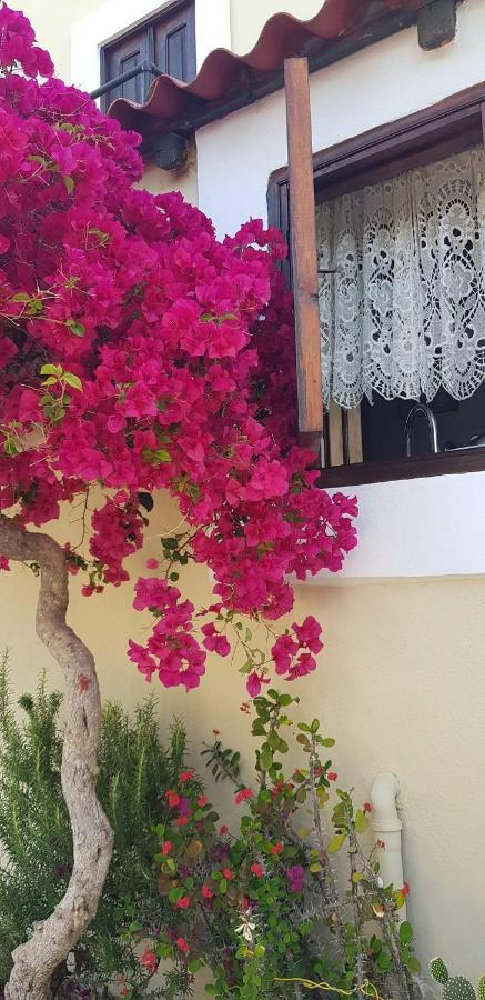 Yiayia'S Home Chalki Town Екстер'єр фото